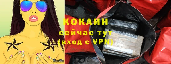 шишки Абинск